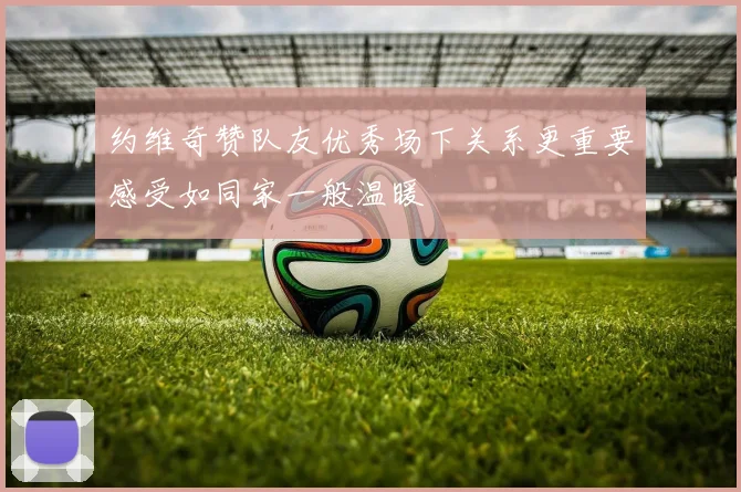约维奇赞队友优秀场下关系更重要感受如同家一般温暖
